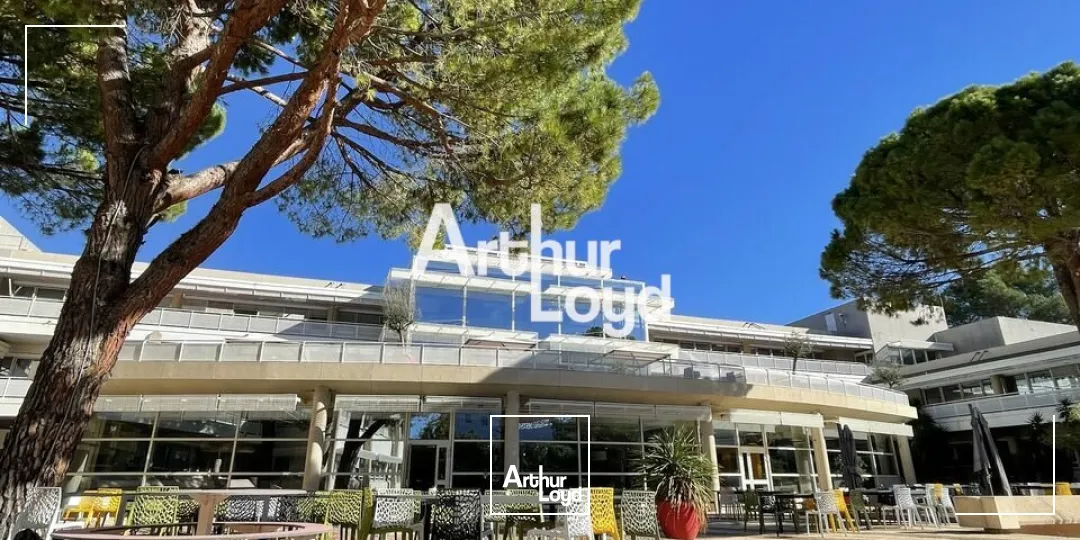 Bureaux à louer divisibles dès 72 m² - Quartier des Templiers - Sophia Antipolis 