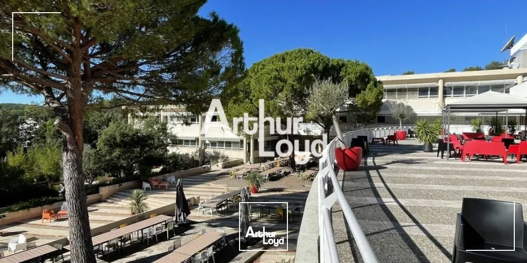 Bureaux à louer divisibles dès 72 m² - Quartier des Templiers - Sophia Antipolis 