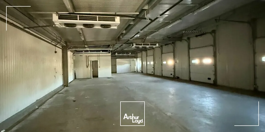 LOCAL D'ACTIVITE - ENTREPOT location à USSAC 19270
