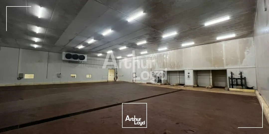 LA CHAUSSÉE SAINT VICTOR - VENTE 3 LOCAUX D'ACTIVITÉ DE 378,26 M² - 504,95 M² ET 1 053,22 M² - ACCES A10 IMMÉDIAT