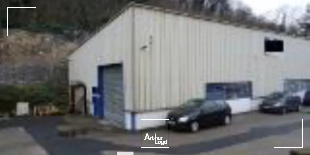 A louer - Lots d'activités idéals pour activités de négoce ou de stockage - Fleurieu sur Saône