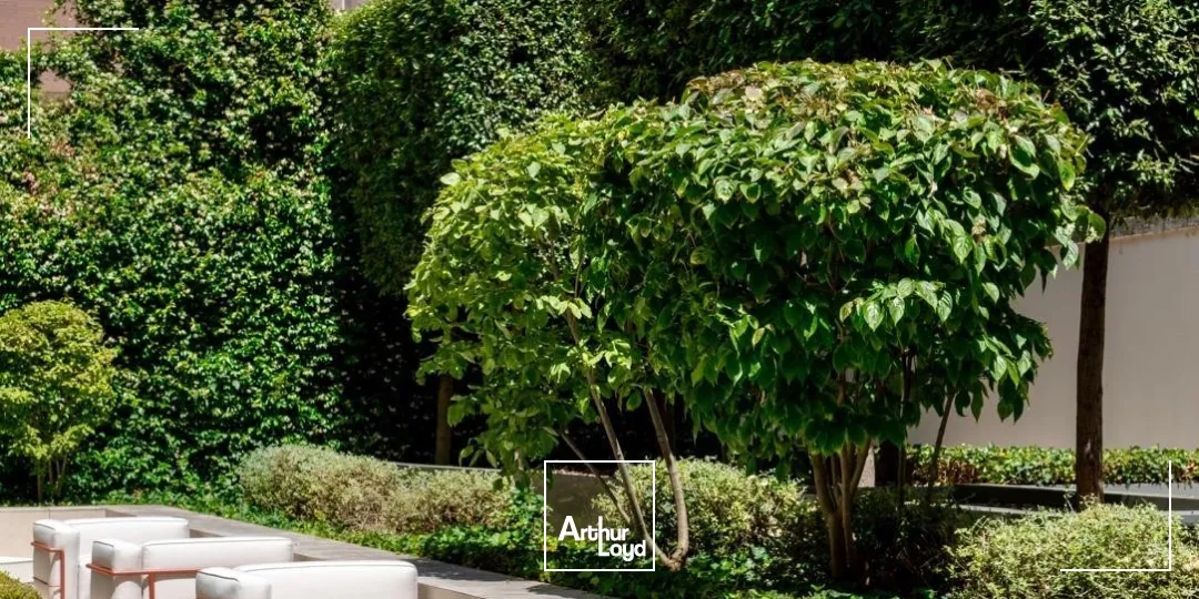 A louer - 27 AC - Bureaux haut de gamme à proximité de la Place Bellecour - Lyon 2ème