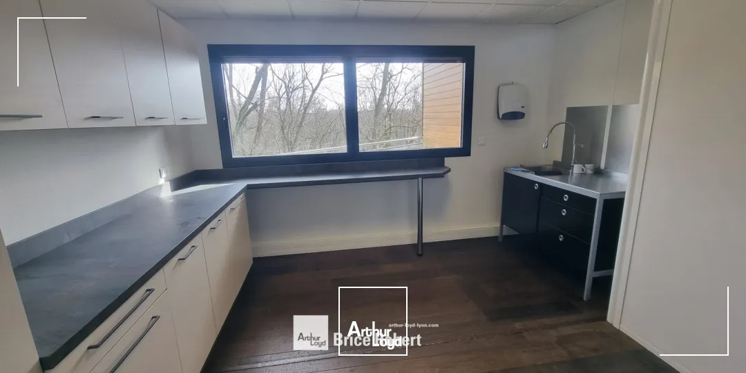 A vendre - LE PANALYS - Bureaux sur la Techlid - Dardilly