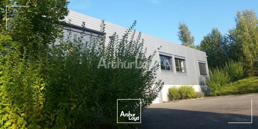 BUREAUX à LOUER de 928 m²