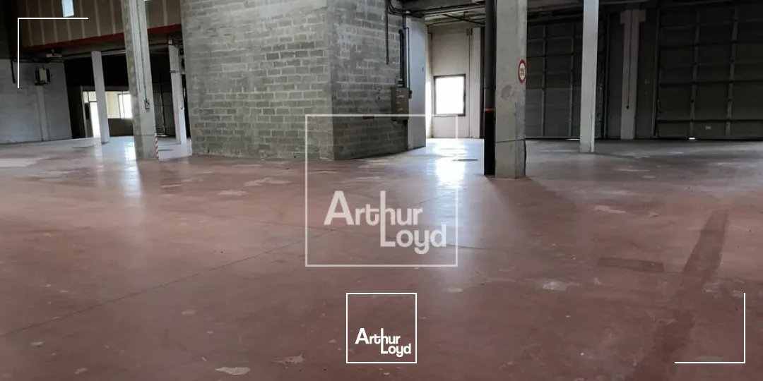 ENTREPOTS ACTIVITES - LISSES - EVRY