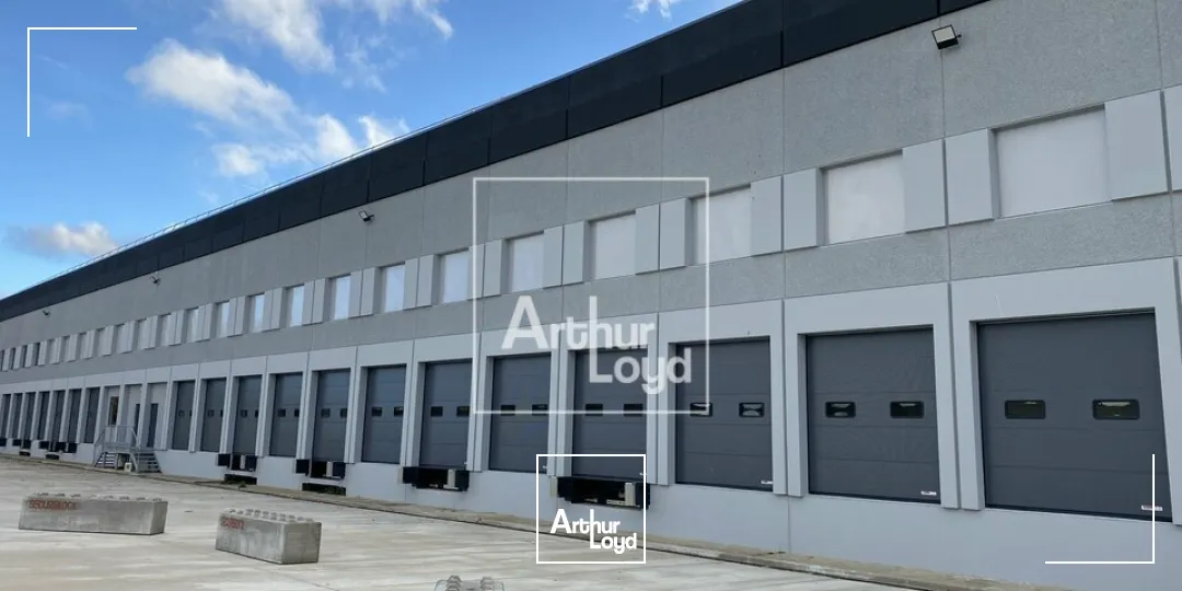 LISSES BATIMENT LOGISTIQUE A LOUER