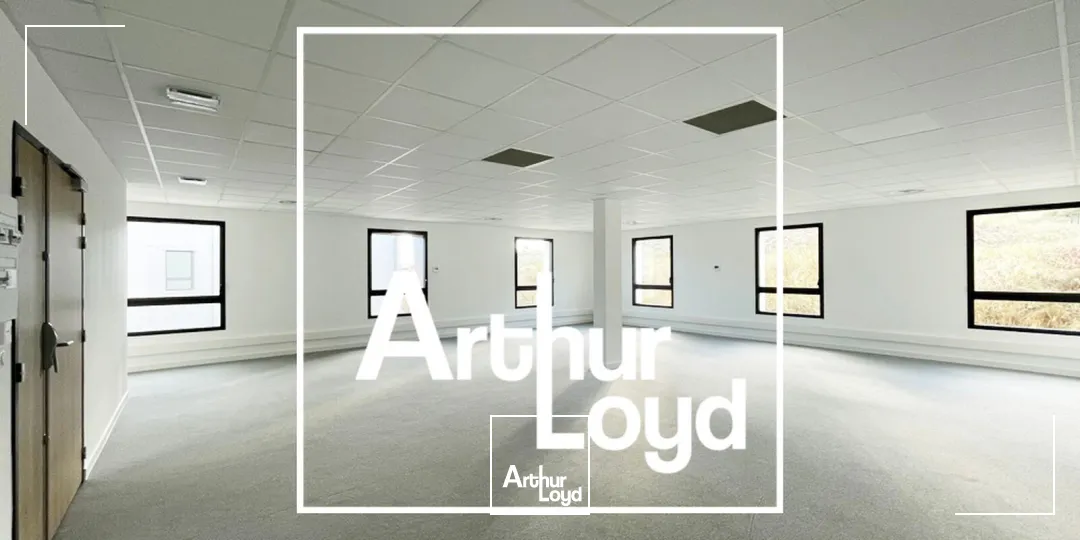 LOCAUX D'ACTIVITES ET BUREAUX NEUFS A LOUER - GRABELS
