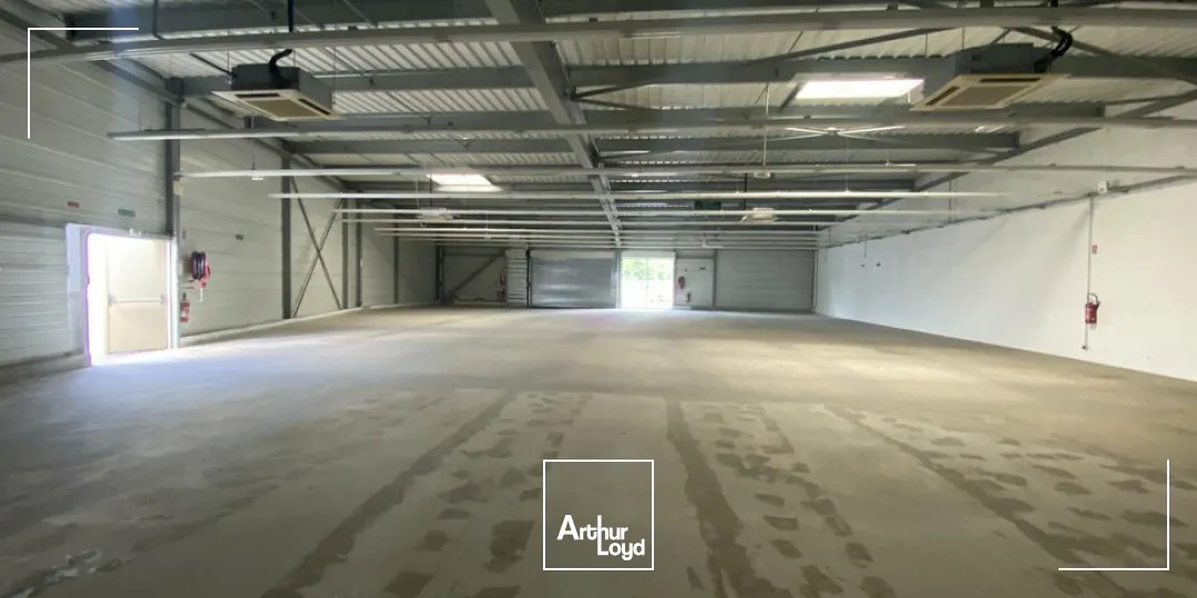 LOCATION LOCAL COMMERCIAL 600 M2 CHATELLERAULT 