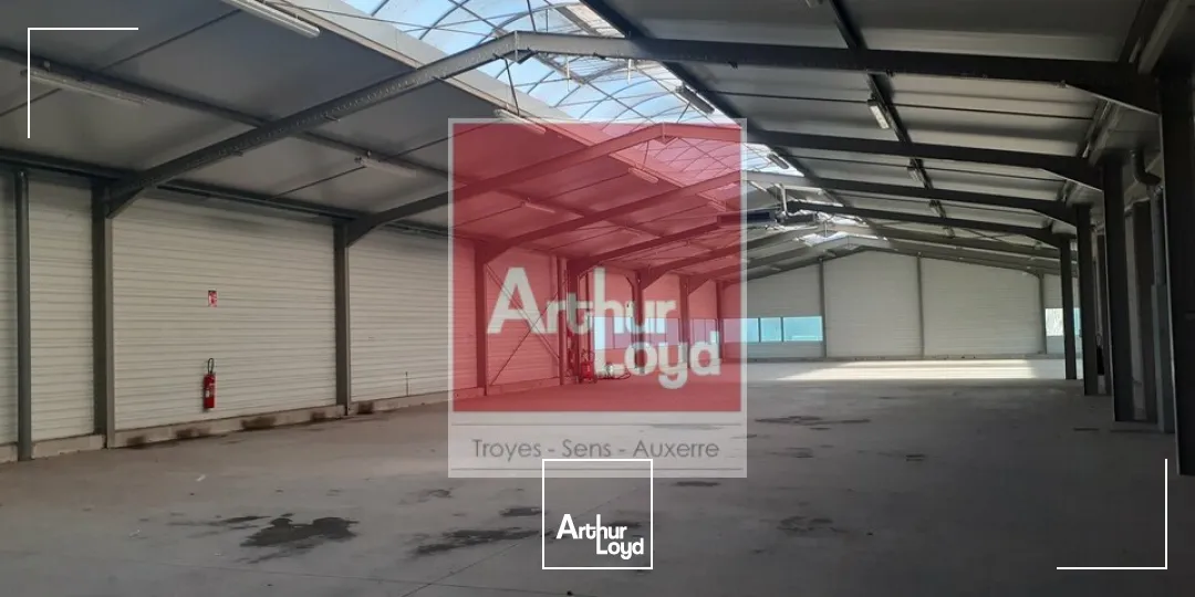 Nouvelle Exclusivité ! 