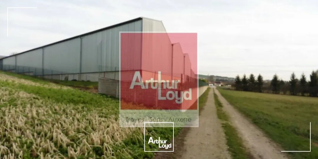 Locaux d'activité & Entrepôts - Vente - VILLACERF - 10600 - 2100-2100 - 7577198