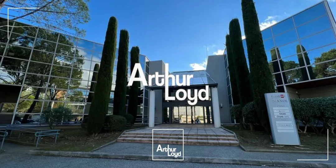 Bureaux cloisonnés 520 m² à louer Sophia Antipolis