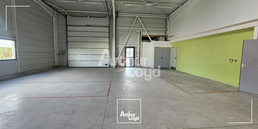 Locaux d'activité & Entrepôts - Location - BEAUCOUZE - 49070 - 512-512 - 7580856