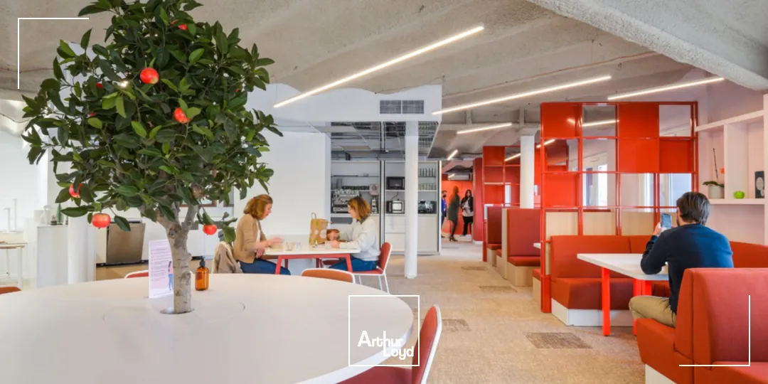 Bureaux - Location - MARSEILLE - 13002 - 17-341 - 7582446