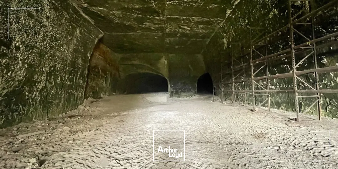 Locaux d'activité à vendre à CANTELEU 76380