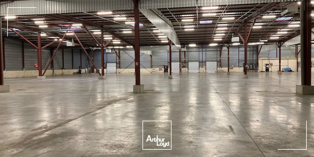 Locaux d'activité & Entrepôts - Location - SAINT CHAMOND - 42400 - 8633-8633 - 7583894