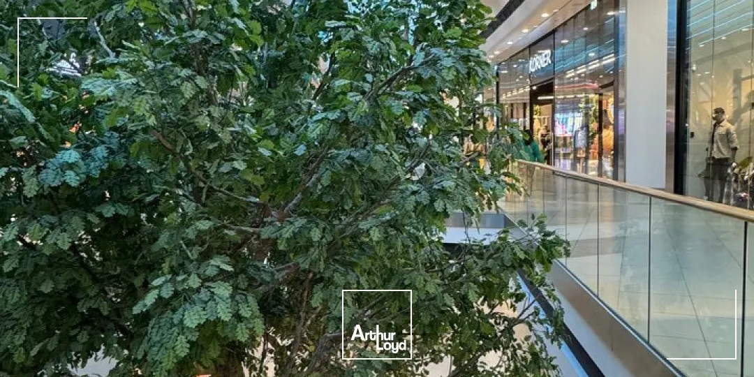 BAYONNE - Restaurant 180 m²  Forte visibilité & passage  Très bonne marge - Idéal couple