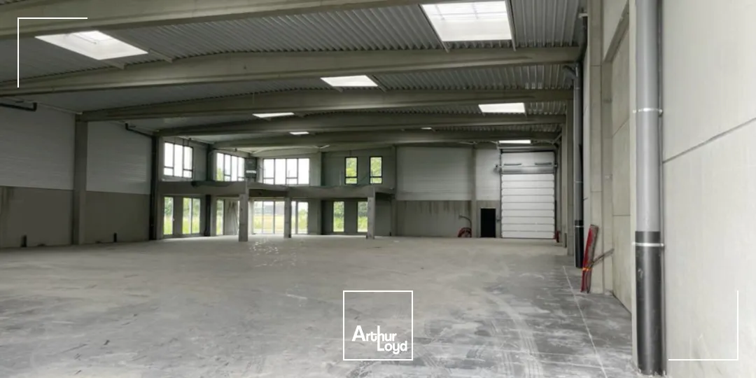 Locaux d'activité & Entrepôts - Location - AVELIN - 59710 - 684-684 - 7586056