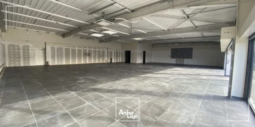 Locaux commerciaux - Location - SIN LE NOBLE - 59450 - 564-564 - 7586070