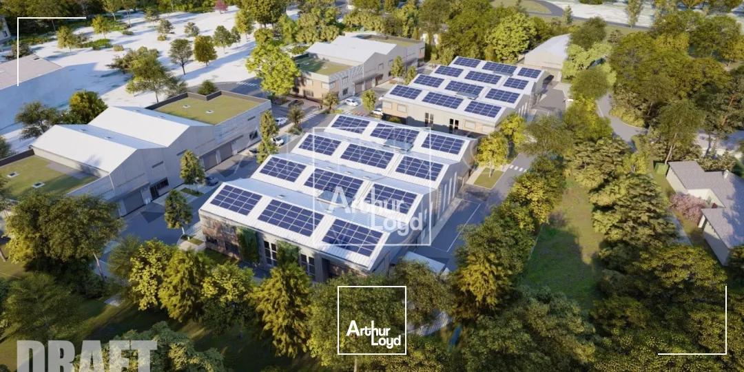 Opération neuve divisible locaux d'activité - vente