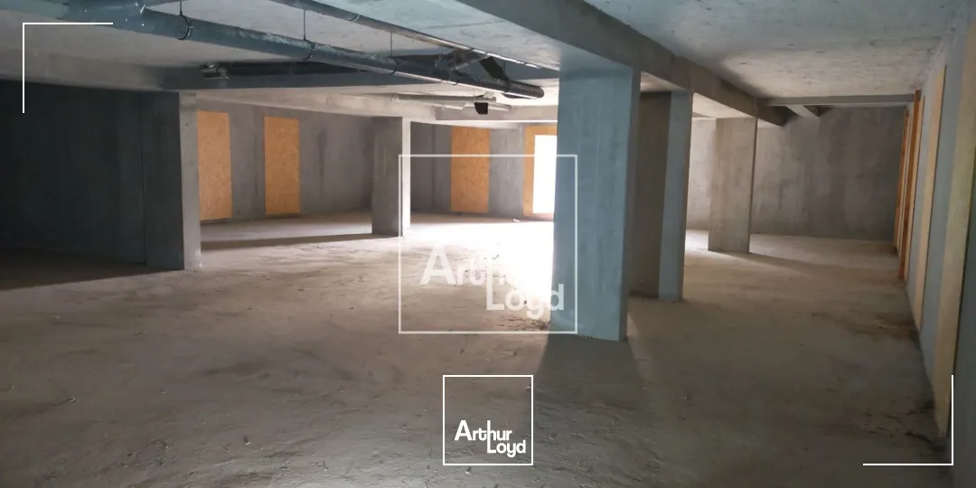 Locaux commerciaux - Location - MEYLAN - 38240 - 288-288 - 7588056