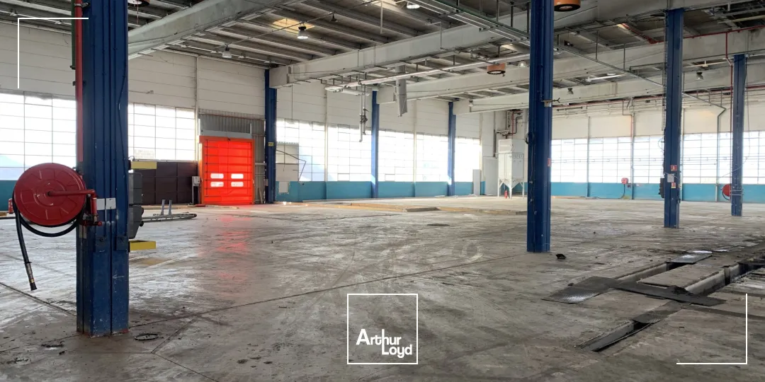 Locaux d'activité & Entrepôts - Location - AMIENS - 80000 - 1008-5808 - 7589746