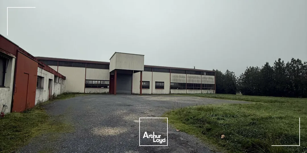 TERRAIN vente à TERRASSON-LAVILLEDIEU 24120