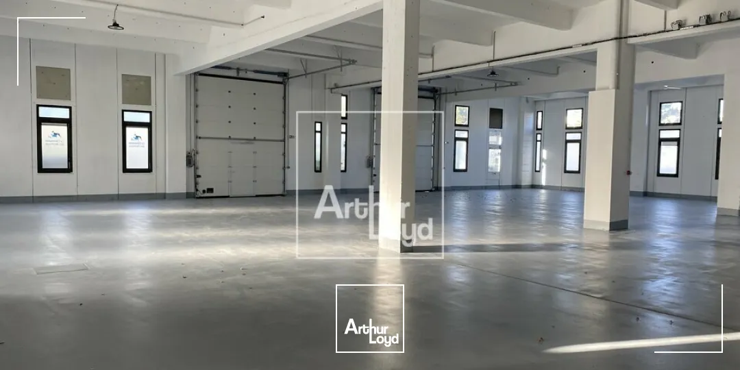 EVRY COURCOURONNES ENTREPOT A LOUER