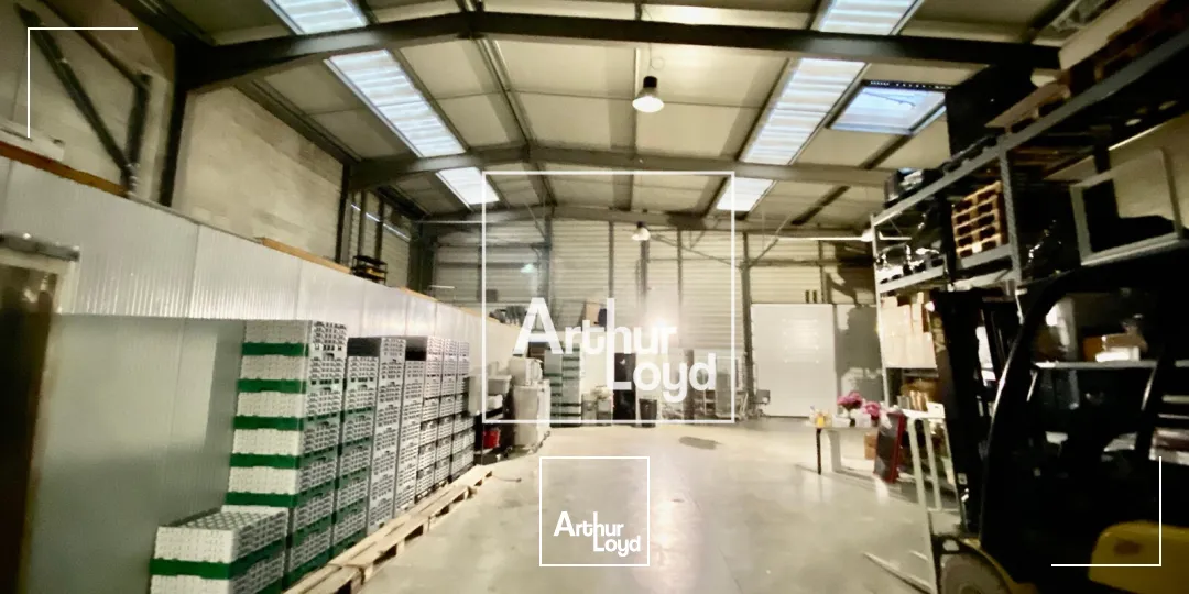 Locaux d'activité 900 m2 à St Jean de Védas - 3 portes sectionnelles - Location