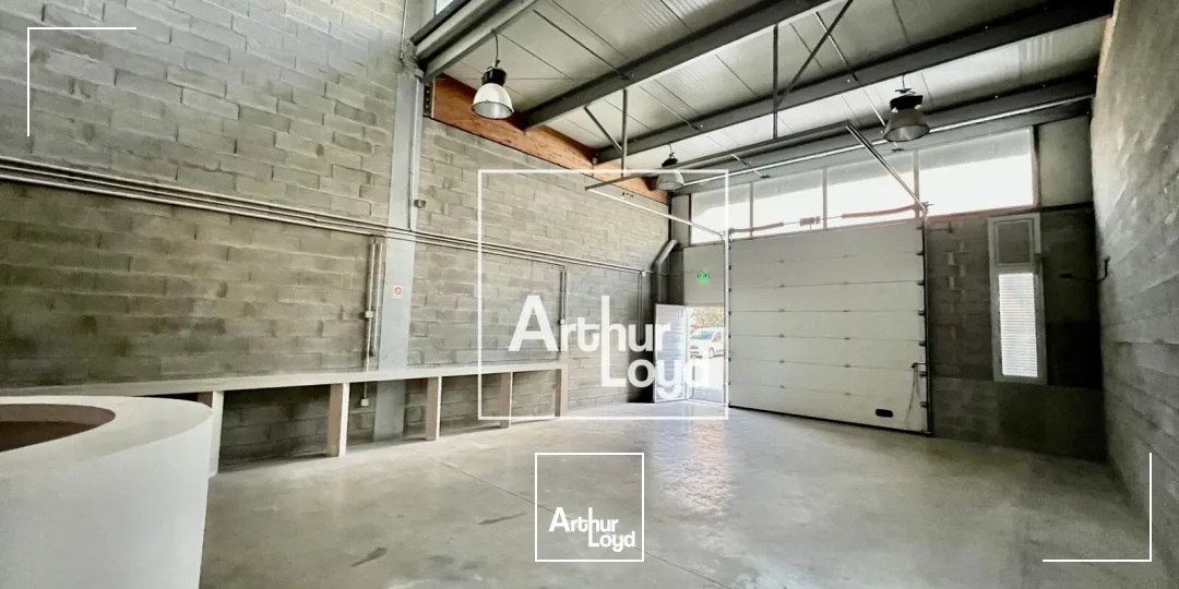 Locaux d'activité & Entrepôts - Location - CASTRIES - 34160 - 120-240 - 7602489