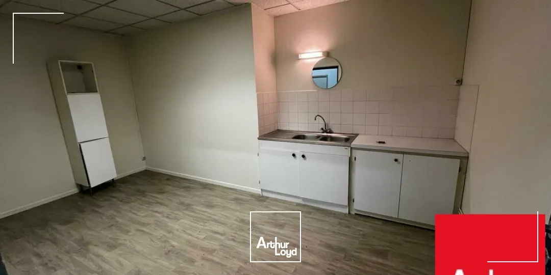 Locaux d'activité & Entrepôts - Vente - GEISPOLSHEIM - 67400 - 552-552 - 7604163