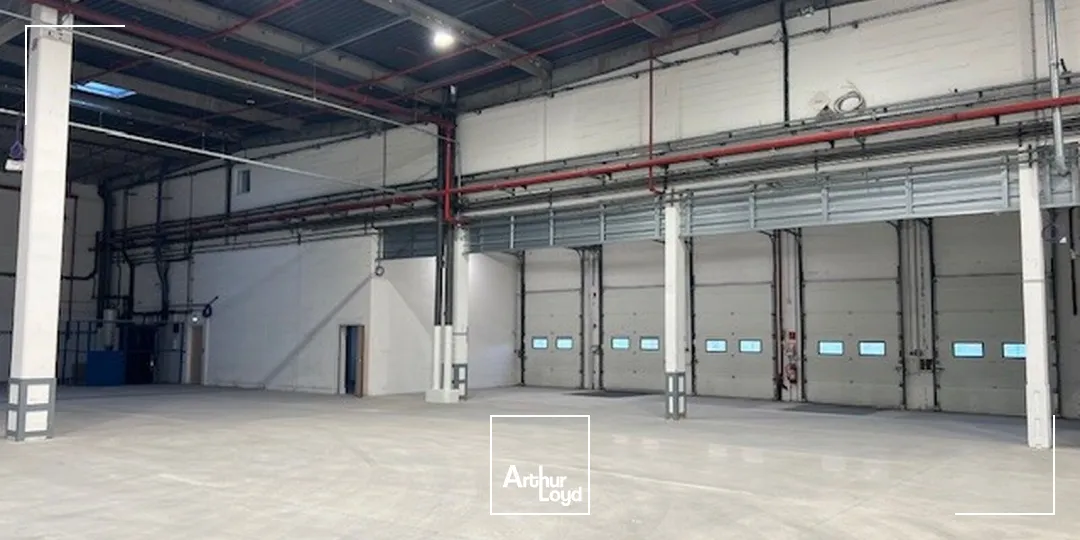 Locaux d'activité & Entrepôts - Location - LES ULIS - 91940 - 4272-8577 - 7605200