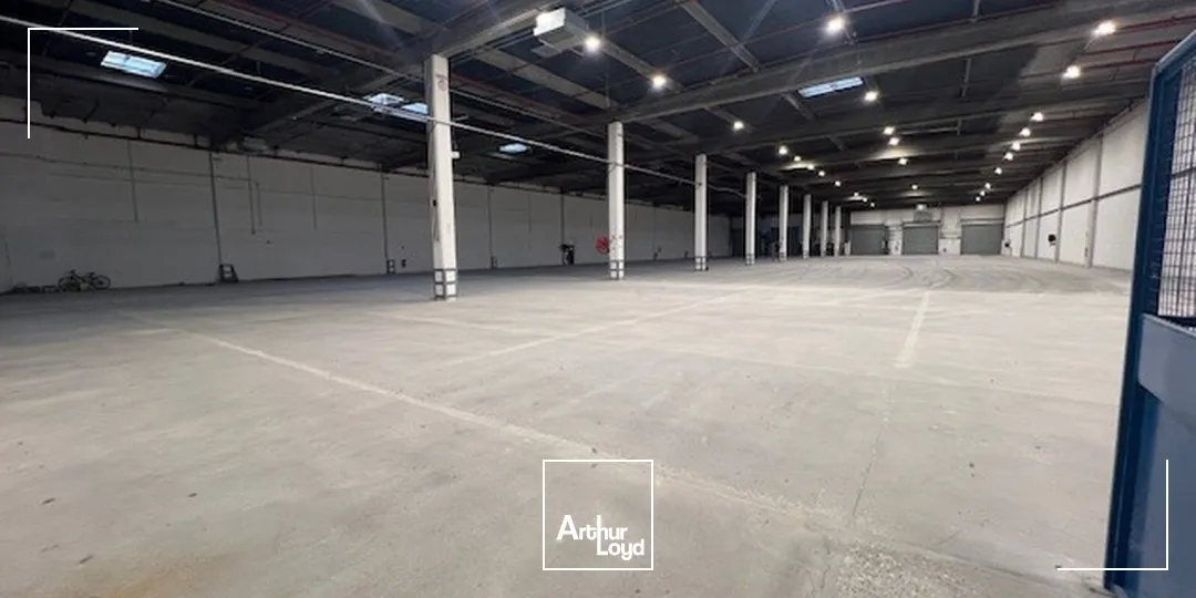 Locaux d'activité & Entrepôts - Location - LES ULIS - 91940 - 4272-8577 - 7605201