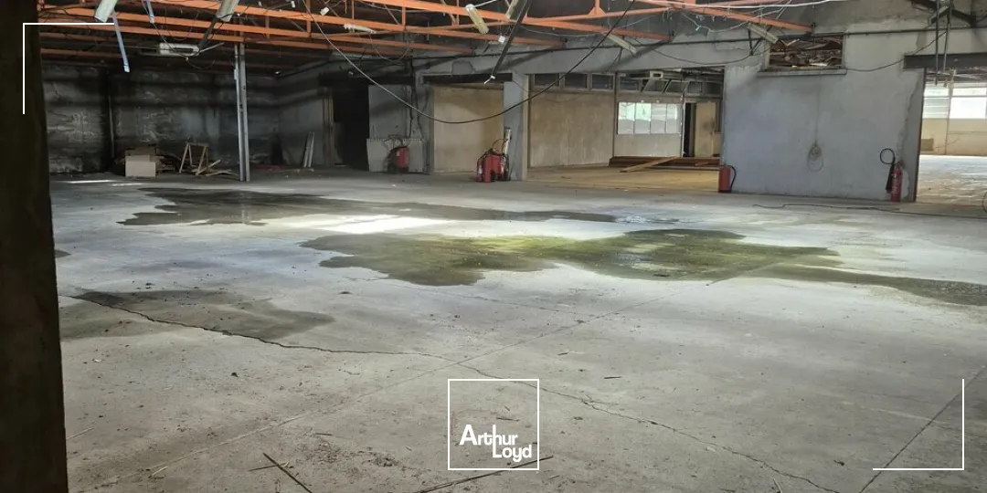 SAINT PAUL LES DAX - local d'activités / Entrepôt de 1.500 m²