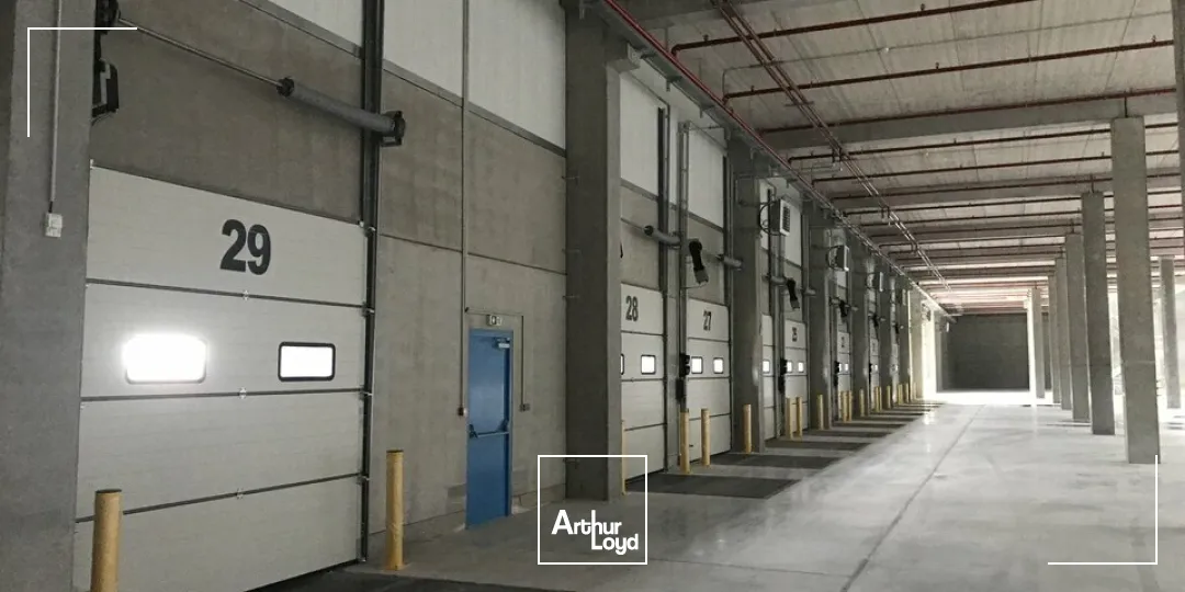 Locaux d'activité & Entrepôts - Location - ENSISHEIM - 68190 - 12394.64-25209.53 - 7608427