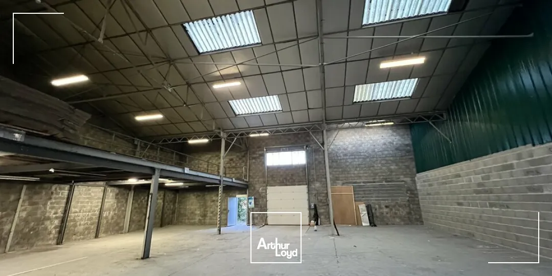 Locaux d'activité & Entrepôts - Location - ANGOULEME - 16000 - 300-300 - 7608621