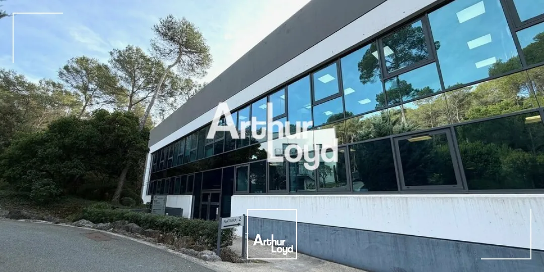 Bureaux - Location - MOUGINS - 06250 - 308-308 - 7609279
