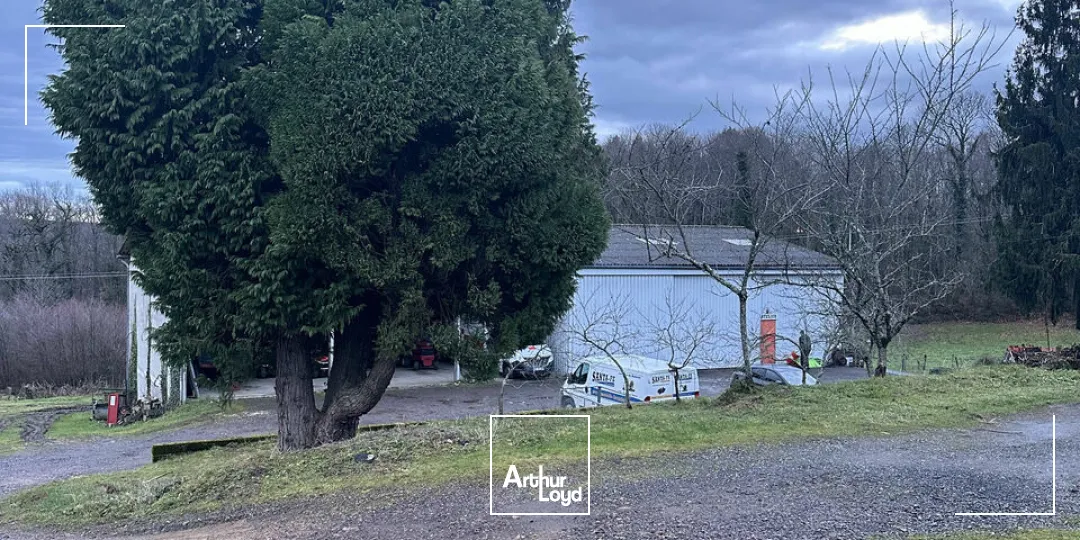 Bureaux - Vente - SAINTE-FÉRÉOLE - 19270 - 1120-1120 - 7609396