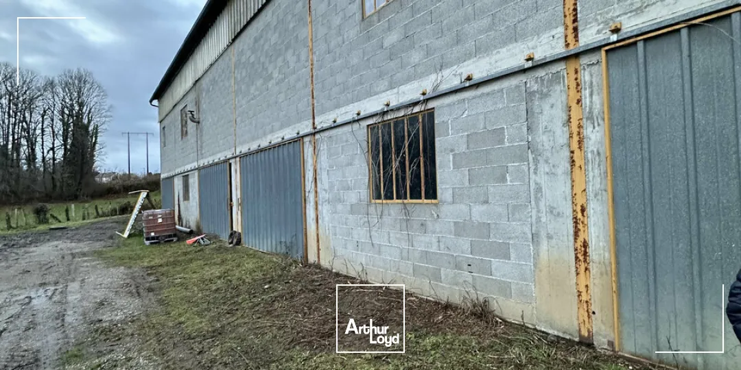 Bureaux - Vente - SAINTE-FÉRÉOLE - 19270 - 1120-1120 - 7609387