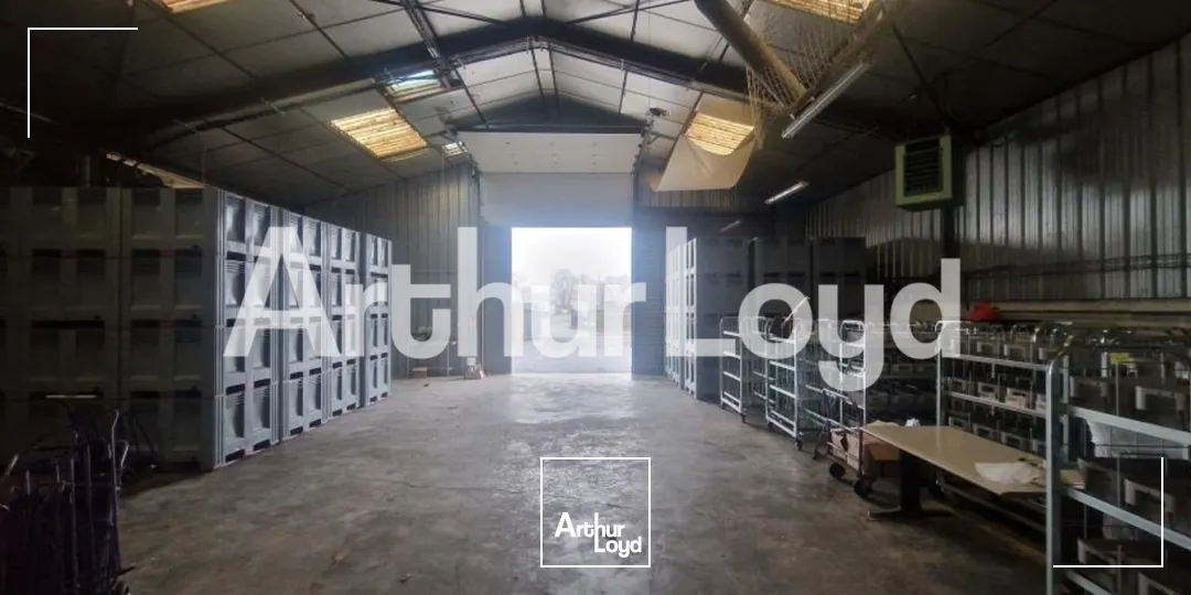 Locaux d'activité & Entrepôts - Vente - GIBERVILLE - 14730 - 1180-1180 - 7610116