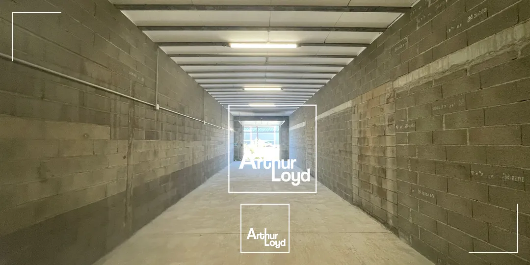 Locaux d'activité & Entrepôts - Location - ARMISSAN - 11110 - 65-65 - 7611676