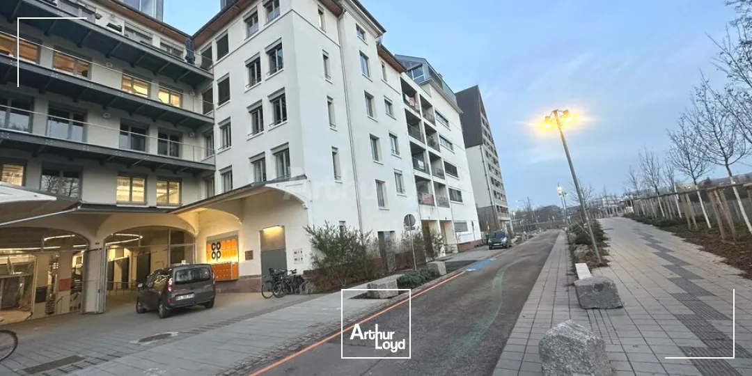 Bureaux - Location - STRASBOURG - 67000 - 339-339 - 7611937