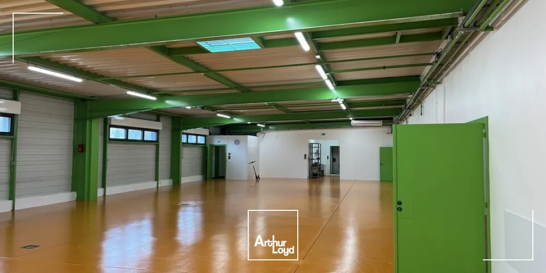 Locaux d'activité & Entrepôts - Location - RIXHEIM - 68170 - 1450-1450 - 7612947