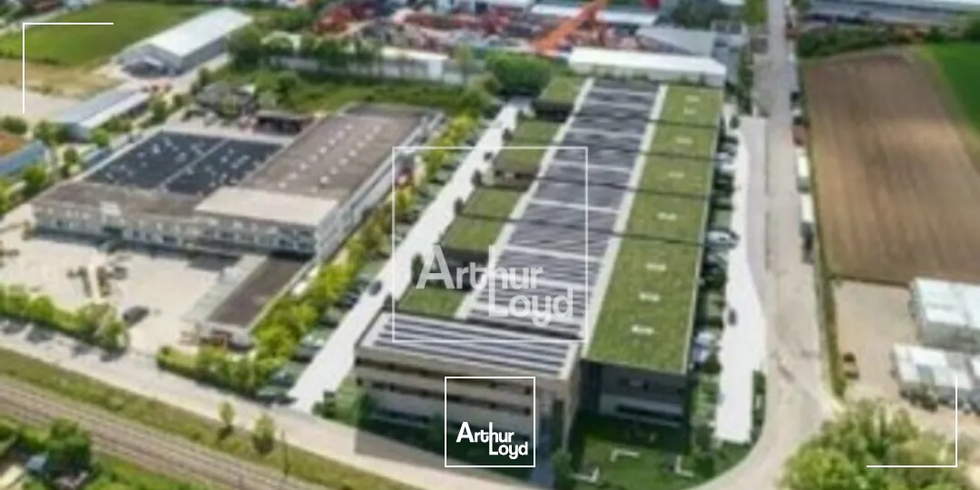 Locaux d'activité & Entrepôts - Location - MOISSY CRAMAYEL - 77550 - 823-10204.7 - 7612994