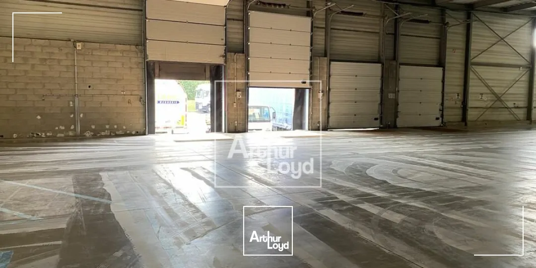 Locaux d'activité & Entrepôts - Location - EGLY - 91520 - 2750-2750 - 7612998