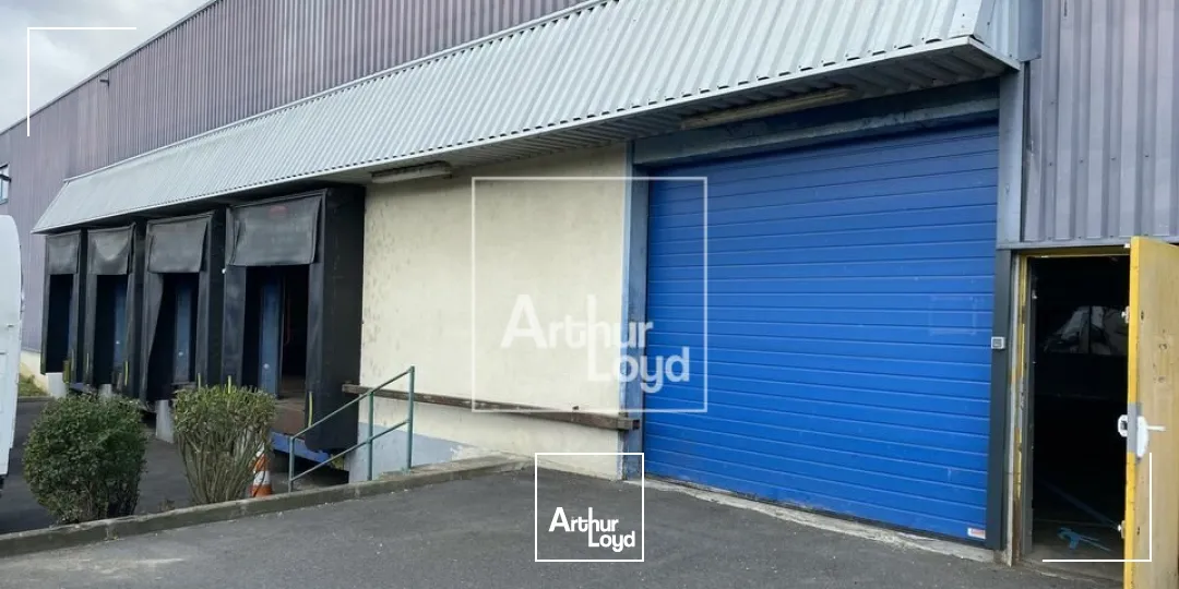 Locaux d'activité & Entrepôts - Location - EGLY - 91520 - 2750-2750 - 7612996