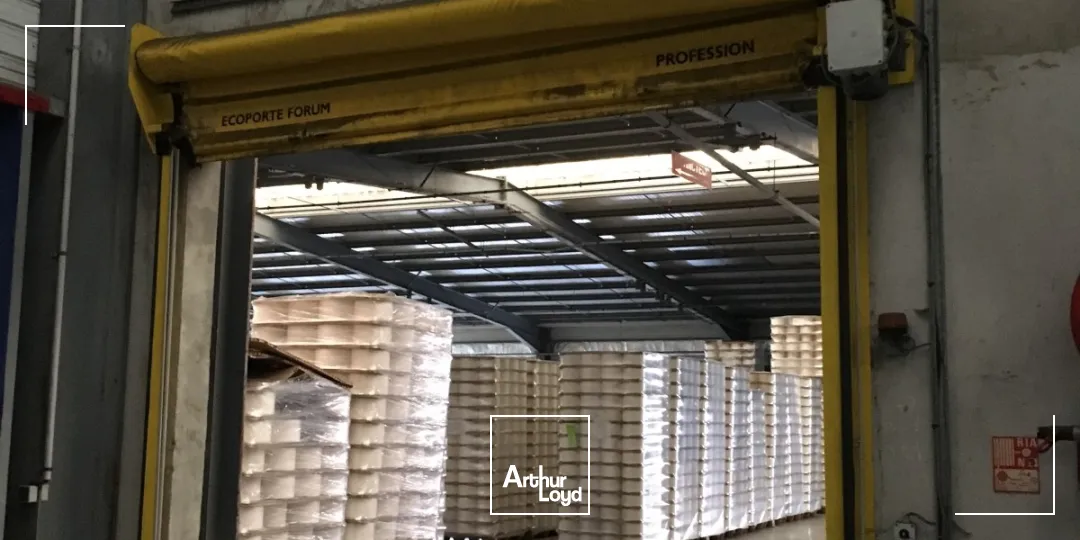 Locaux d'activité & Entrepôts - Vente - BOHAIN EN VERMANDOIS - 02110 - 6296-6296 - 7613113