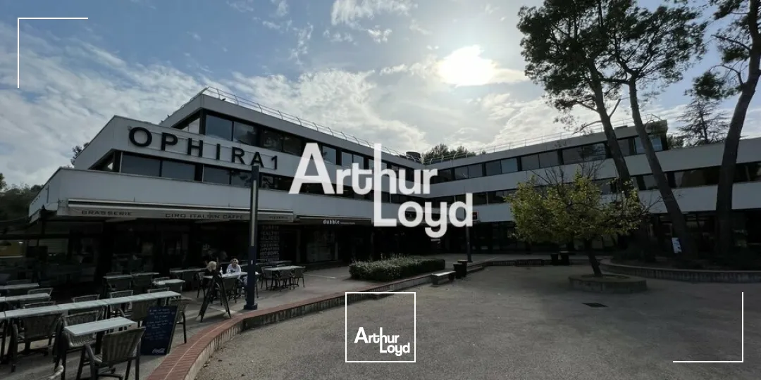 Bureaux - Vente - VALBONNE - 06560 - 181-181 - 7614623