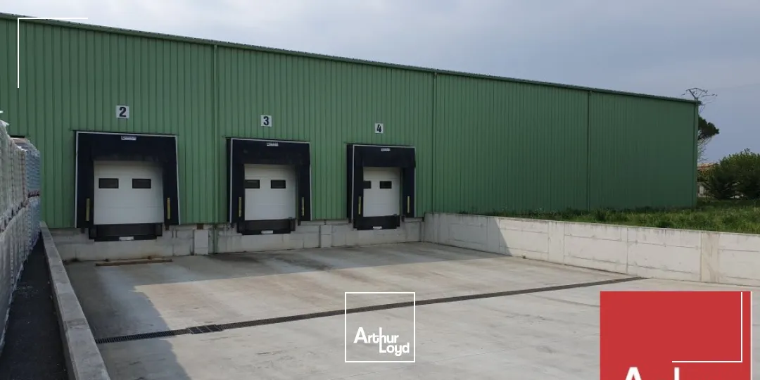 Locaux d'activité & Entrepôts - Location - BOLLENE - 84500 - 9150-9150 - 7614644