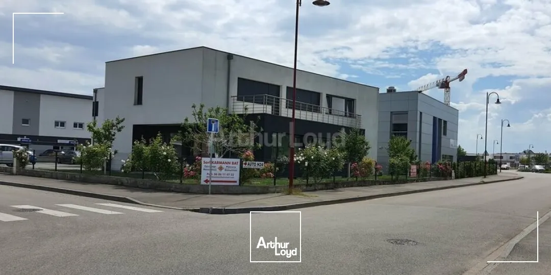 Bureaux - Location - ENTZHEIM - 67960 - 48-48 - 7614661