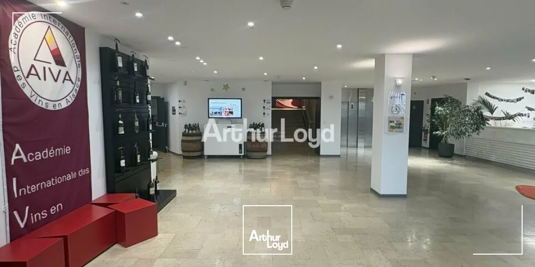 Bureaux - Location - LANDERSHEIM - 67700 - 50-100 - 7614677